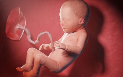 31 Weken zwanger: waarom slapen soms lastiger wordt