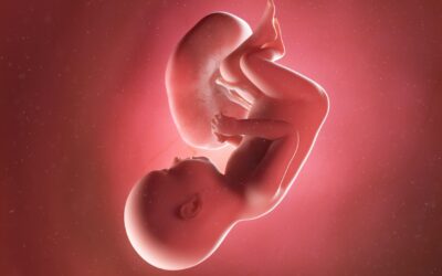 37 Weken zwanger: je baby is nu voldragen