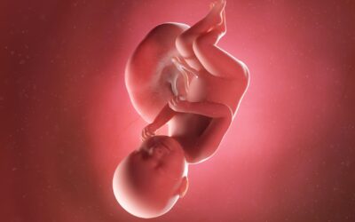 38 Weken zwanger: je baby kan ieder moment komen