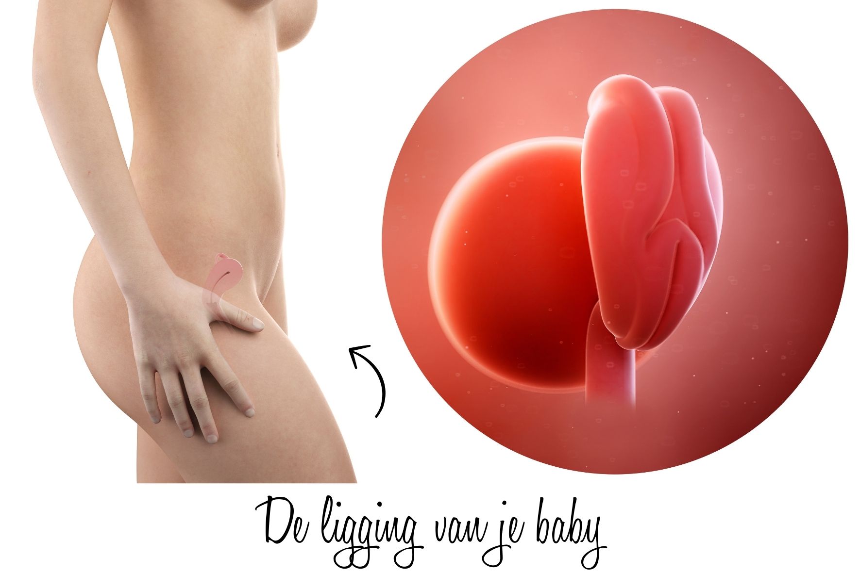 4 weken zwanger buik en ligging baby